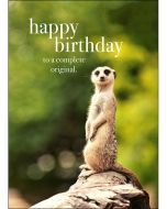 Birthday card - Meerkat on tree branch