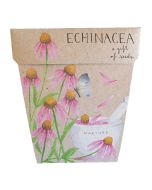Greeting Card & Gift of Seeds - ECHINACEA 