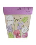 Greeting Card & Gift of Seeds - SWEET PEA