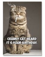 Birthday Card - Cranky Cat 