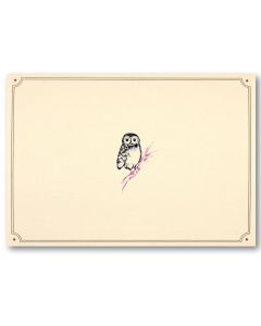 Boxed Notecards - Owl Portrait