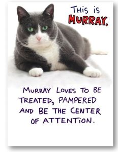 Birthday Card -Be Murray