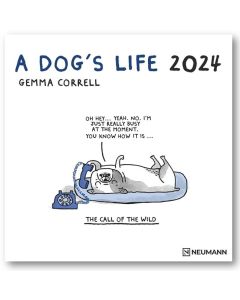 2024 CALENDAR - A Dog's Life 