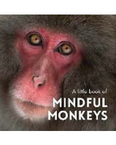 A little book of Mindful Monkeys 