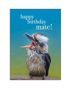 Birthday card - Laughing Kookaburra