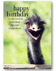 Birthday Card - Craziest Individual