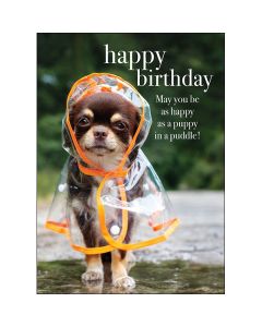 Birthday card - Puppy in raincoat