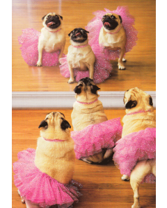 Birthday Card - Ballerina Pugs