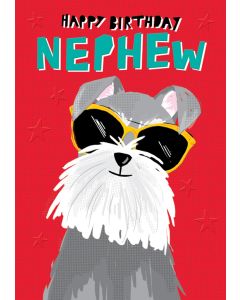 Nephew Birthday - Dog in sunglasses 