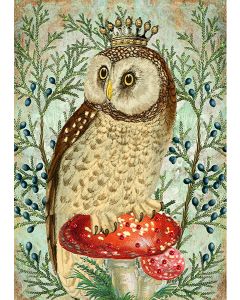 Greeting Card - Crowned Owl