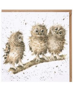 Greeting Card - Owlets
