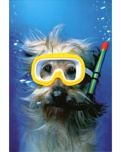 THANK YOU Card - Snorkeling Dog