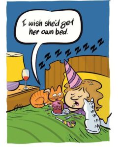 Birthday card - Cats sharing bed