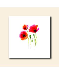 Notecard pack - Red Poppies (PK6)