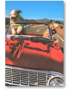 Birthday card - Dogs in red car 