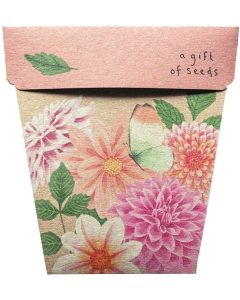Greeting Card & Gift of Seeds - DAHLIA
