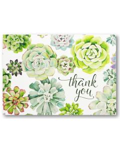 Boxed Thank You Cards - Succulent Garden