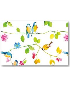Boxed Notecards - Watercolour Birds
