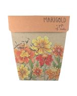 Greeting Card & Gift of Seeds - MARIGOLD