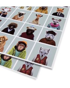 Folded Wrapping Paper - Zoo Portraits