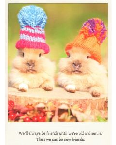 Greeting Card - We'll Always Be Friends