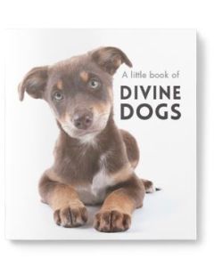 Little book of Divine dogs 