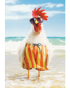 Birthday Card - Beach Rooster