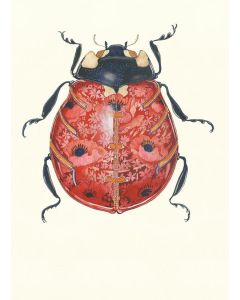 Greeting Card - Patterned Ladybird