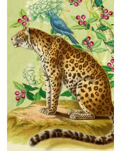 Greeting card - Leopard & bird 'Two friends'