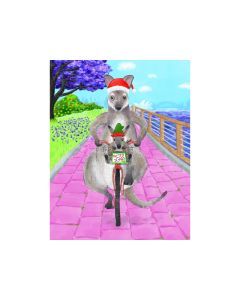 Christmas Card - Bike Riding 