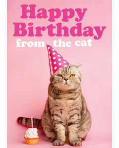 Birthday Card - From the Cat