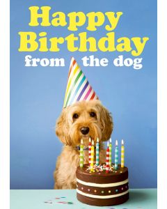 Birthday Card - From the Dog