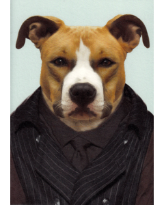 Dog Portrait Card