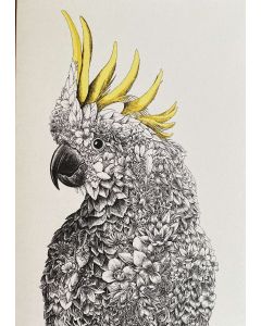 Greeting card - Sulphur-crested cockatoo