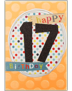 '17 Happy Birthday' Card